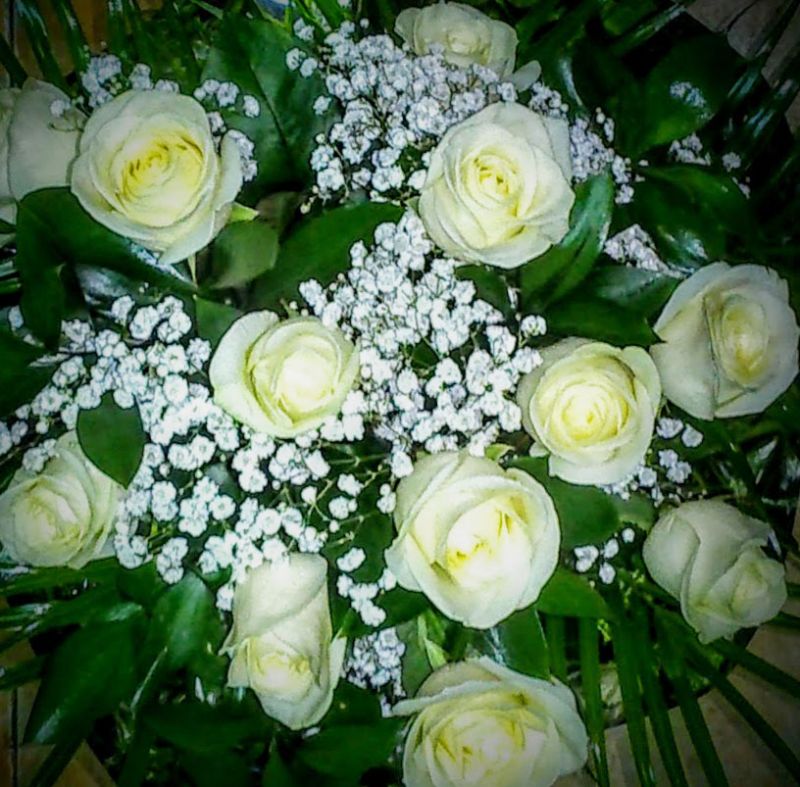 Rosas blancas para pedir perdn