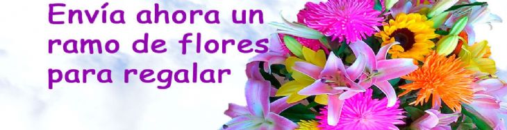 Envio de ramos de flores para regalar a domicilio en el día