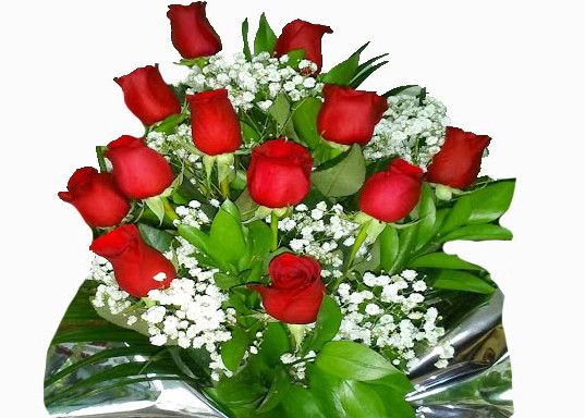 Envía a domicilio en Gijón una docenas de rosas rojas