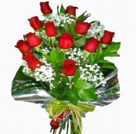 docena de rosas rojas con paniculata