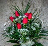 docena de rosas rojas con paniculata