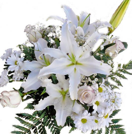 ramo de flores blancas