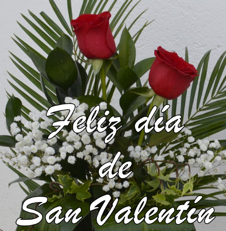 Rosas el día de los enamorados. Rosas rojas San Valentín