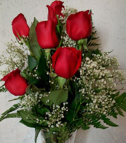 apasionado Soviético sucesor Rosas el día de los enamorados. Rosas rojas San Valentín