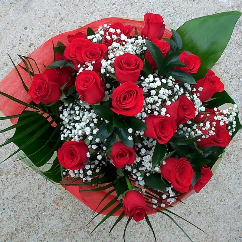 Rosas para regalar