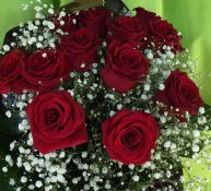 Media docena de rosas rojas