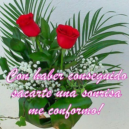 Palabras de amor para poner con una docena de rosas rojas