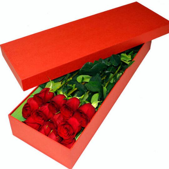 caja de una docena de rosas rojas
