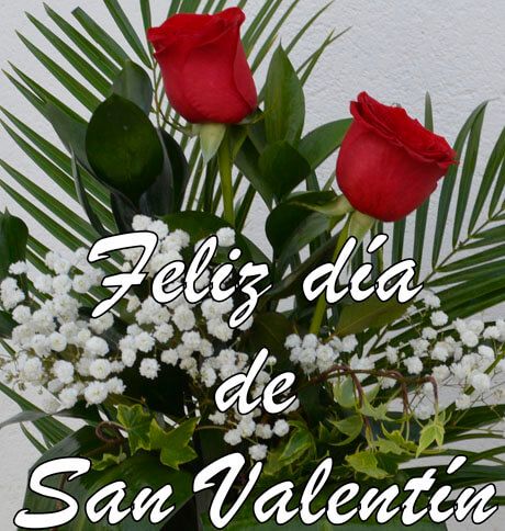 frases para flores el da de San Valentn