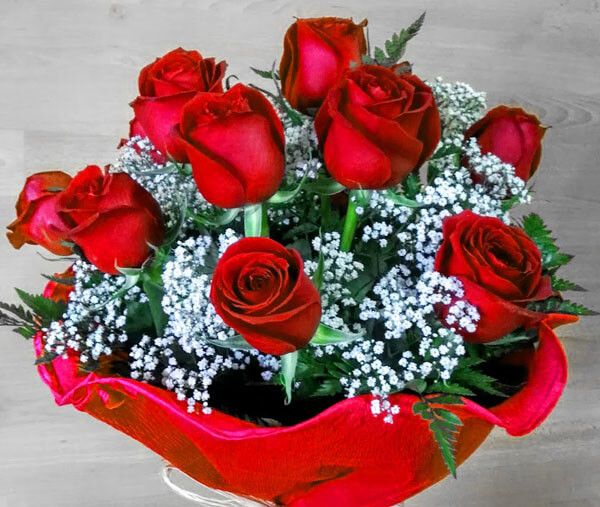 docena de rosas rojas para enviar a domicilio