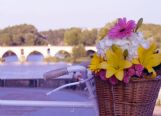 Floristería Zamora