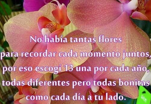 flores con frases de amor