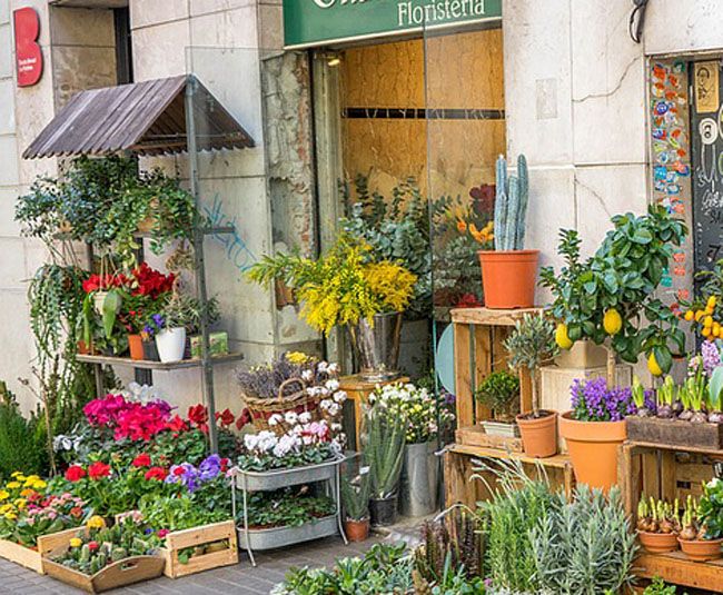 floristeras de Len