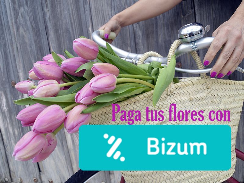 pagar flores con Bizum