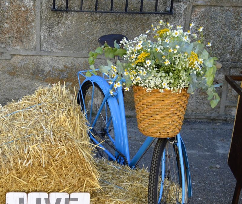 floristeras en Alcal de Henares