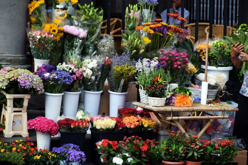 Floristera en Madrid flores a domicilio