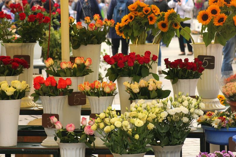 Floristerías de Huesca con envío de flores a domicilio en Huesca