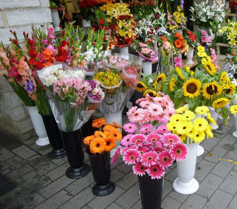 Envo de flores en Jan