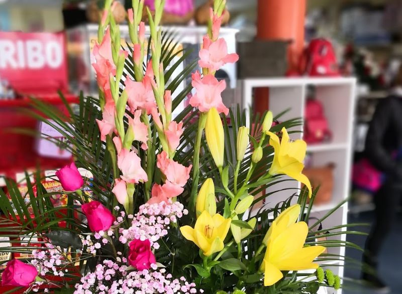 Floristerías de Logroño