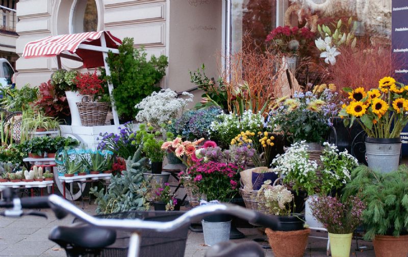 floristerias Carabanchel Madrid