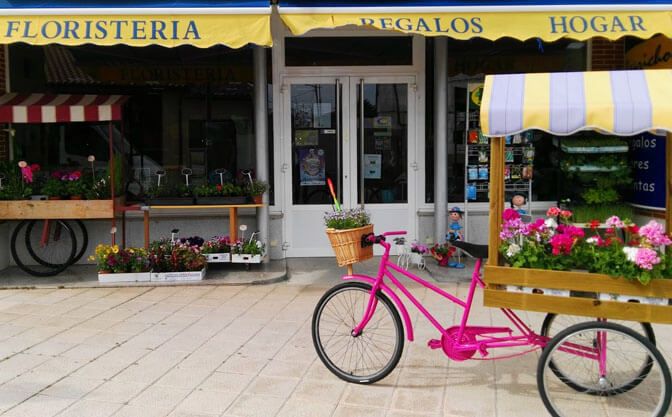 floristerias en zamora