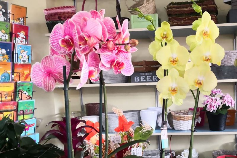 floristeras de Sevilla con envo de ramos de flores a domicilio en Sevilla