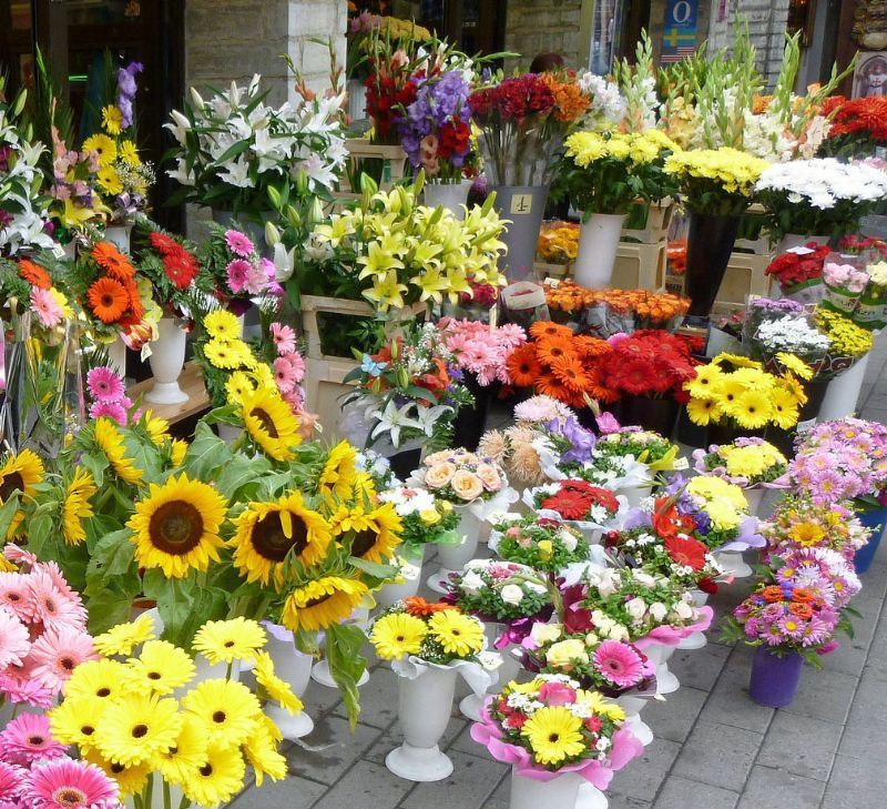 Floristeras de Toledo