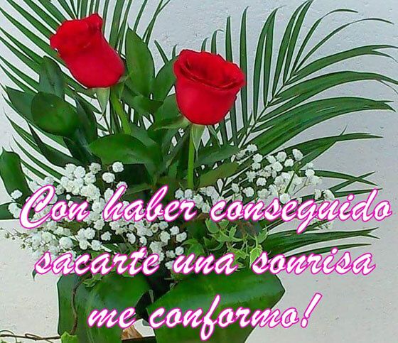 Frases de amor para regalar flores