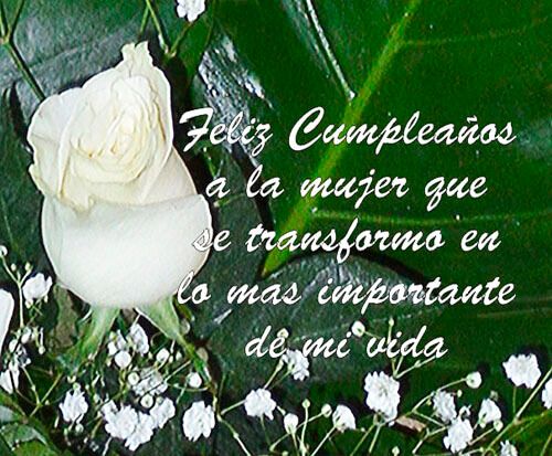 Frases de amor con rosas blancas