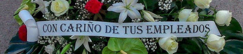 frase de psame para flores