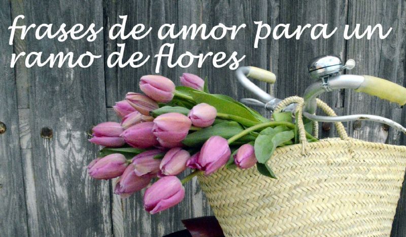 Frases de amor para escribir con un ramo de flores