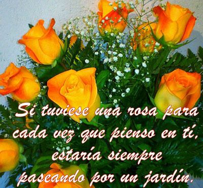 frases de amor con una docena de rosas