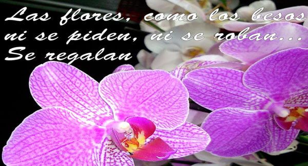 Frases de amor para unas flores