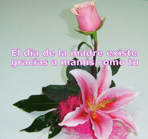 Frases de amor para enviar flores