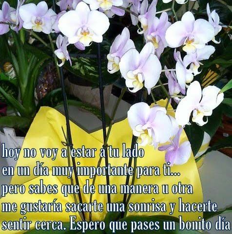 frases para enviar flores