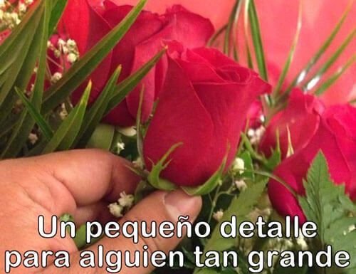 frases para regalar rosas