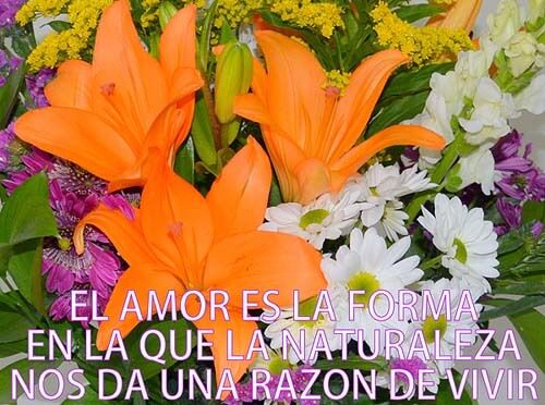 frases para mandar un ramo de flores