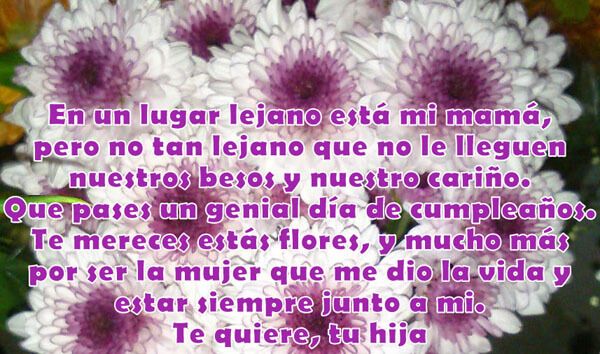 Frases de amor para escribir con un ramo de flores