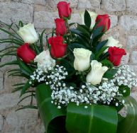 Rosas rojas y blancas