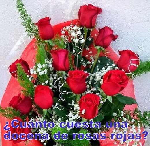 Docena rosas rojas para regalar