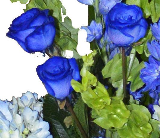 docena de rosas azules